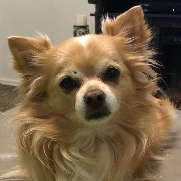 Meet your Posher, Audry - Picture 13 of 16